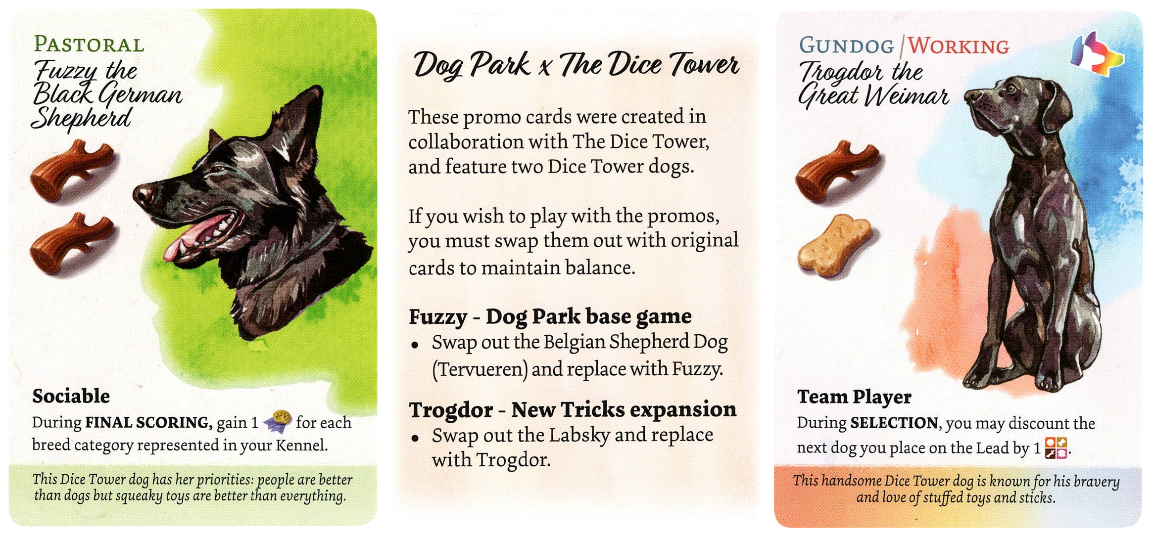 DogPark