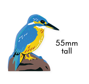 WS-LargeKingfisher